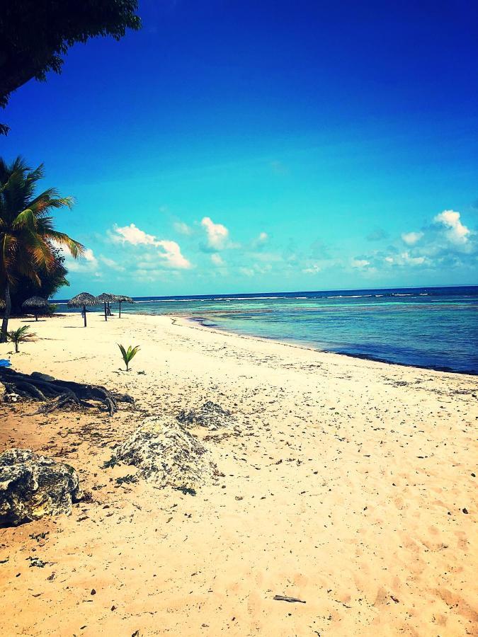 Ti Kaz Effet Mer Saint-Francois  Exteriér fotografie